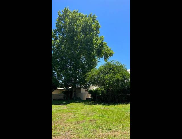 FARM FOR SALE IN GLENFERNESS